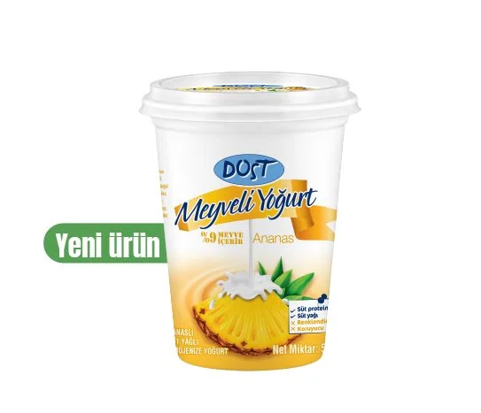 Dost Ananaslı Meyveli Yoğurt